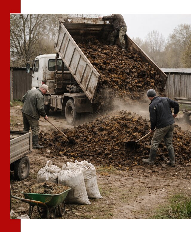 Доставка коровьего навоза самосвалом в Шадринске